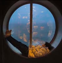 Profile picture of Pakornkiat Pongsroy Boat