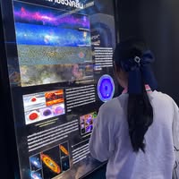 Profile picture of winterflowers ヱ