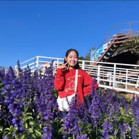 Profile picture of Pim Kiki