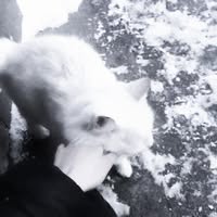 Profile picture of Kirxniq Xrz