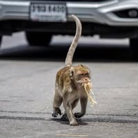 Profile picture of ศุภณัฐ ช่อเลี่ยม