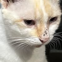 Profile picture of Mix Aekniti