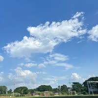 Profile picture of Panuwat Wachirapong