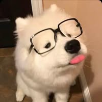 Profile picture of Tach Seoul