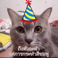 Profile picture of Nutty Gag