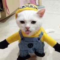 Profile picture of ธีรติ สัตนาโค