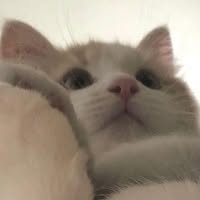 Profile picture of Chanyaphat Soonthronsirivet